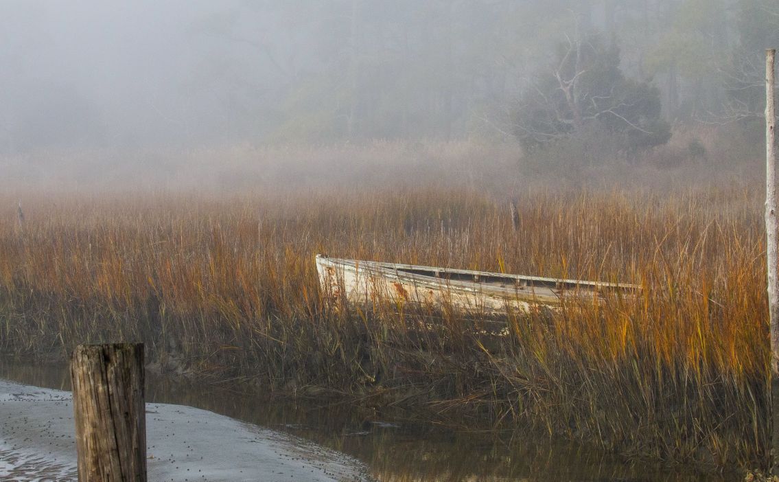 2015 Virginia Vistas: "Foggy Morning"